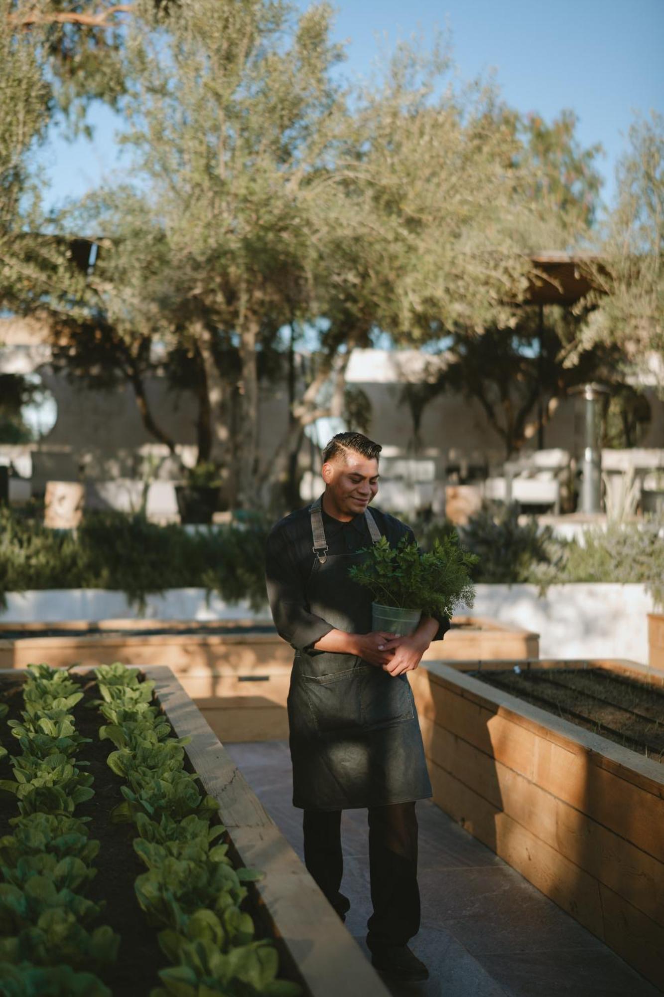 Mya Hotel Valle de Guadalupe Exteriör bild