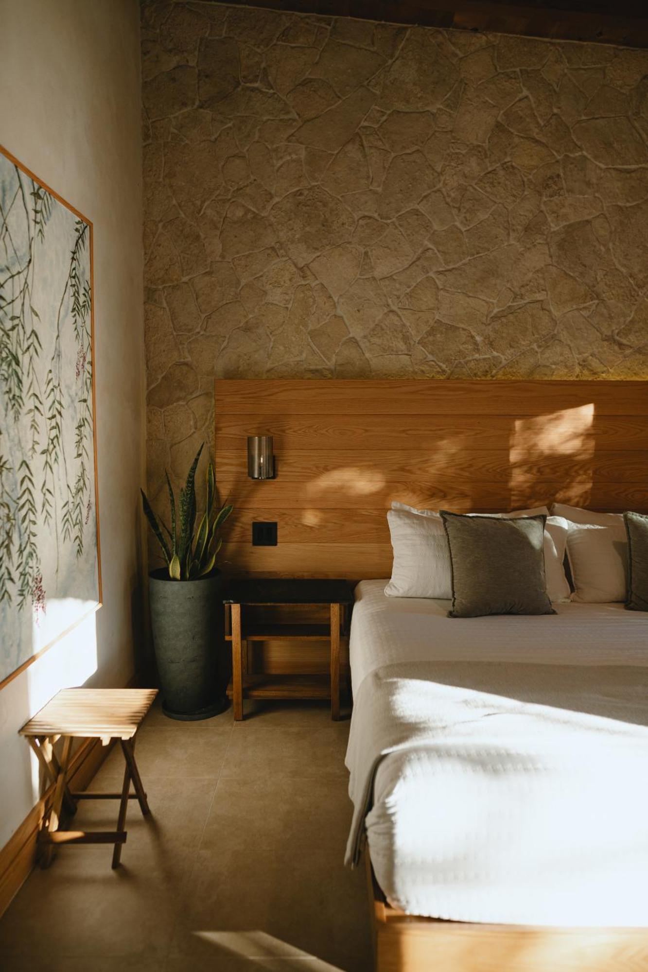 Mya Hotel Valle de Guadalupe Exteriör bild