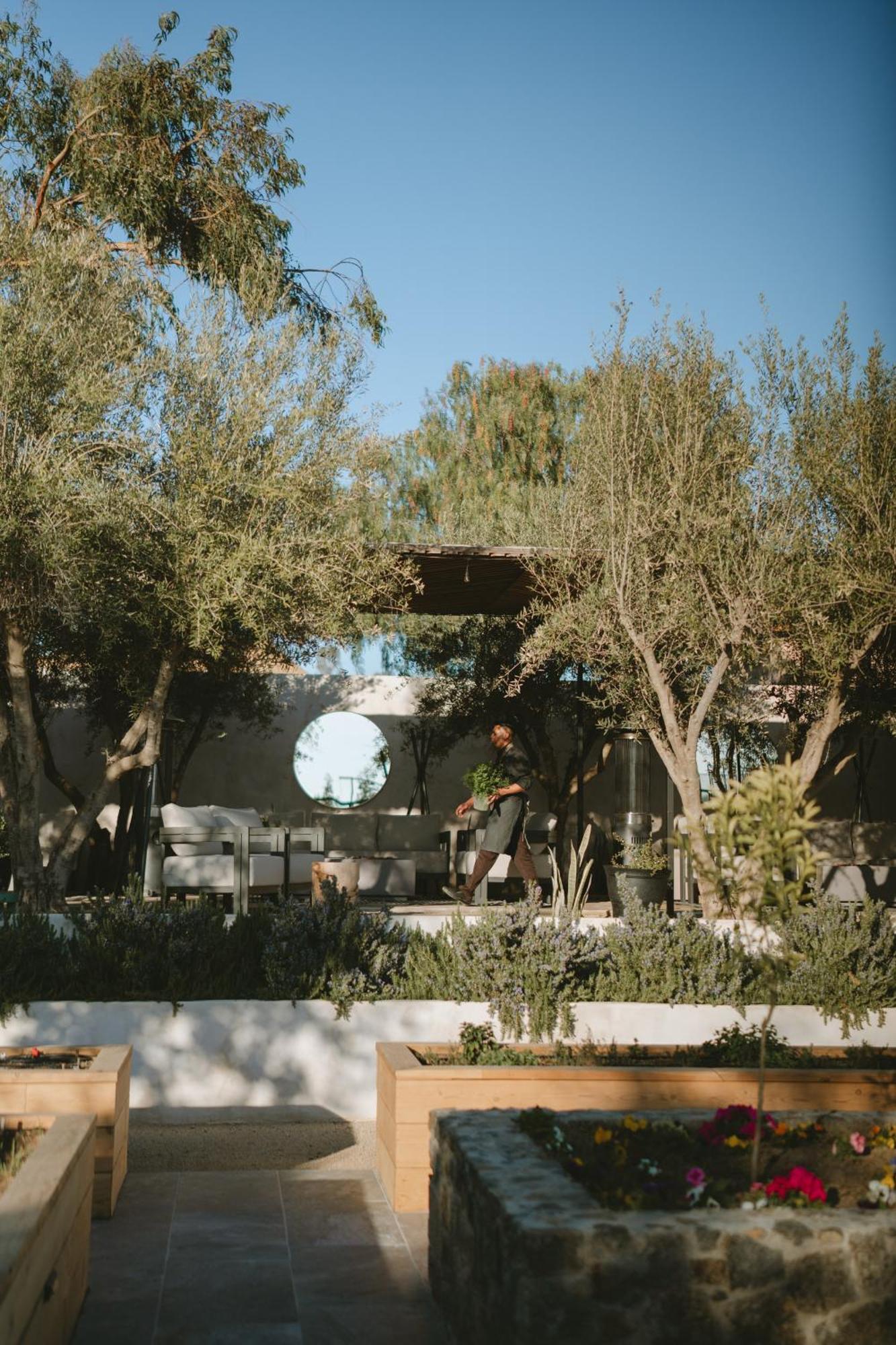 Mya Hotel Valle de Guadalupe Exteriör bild