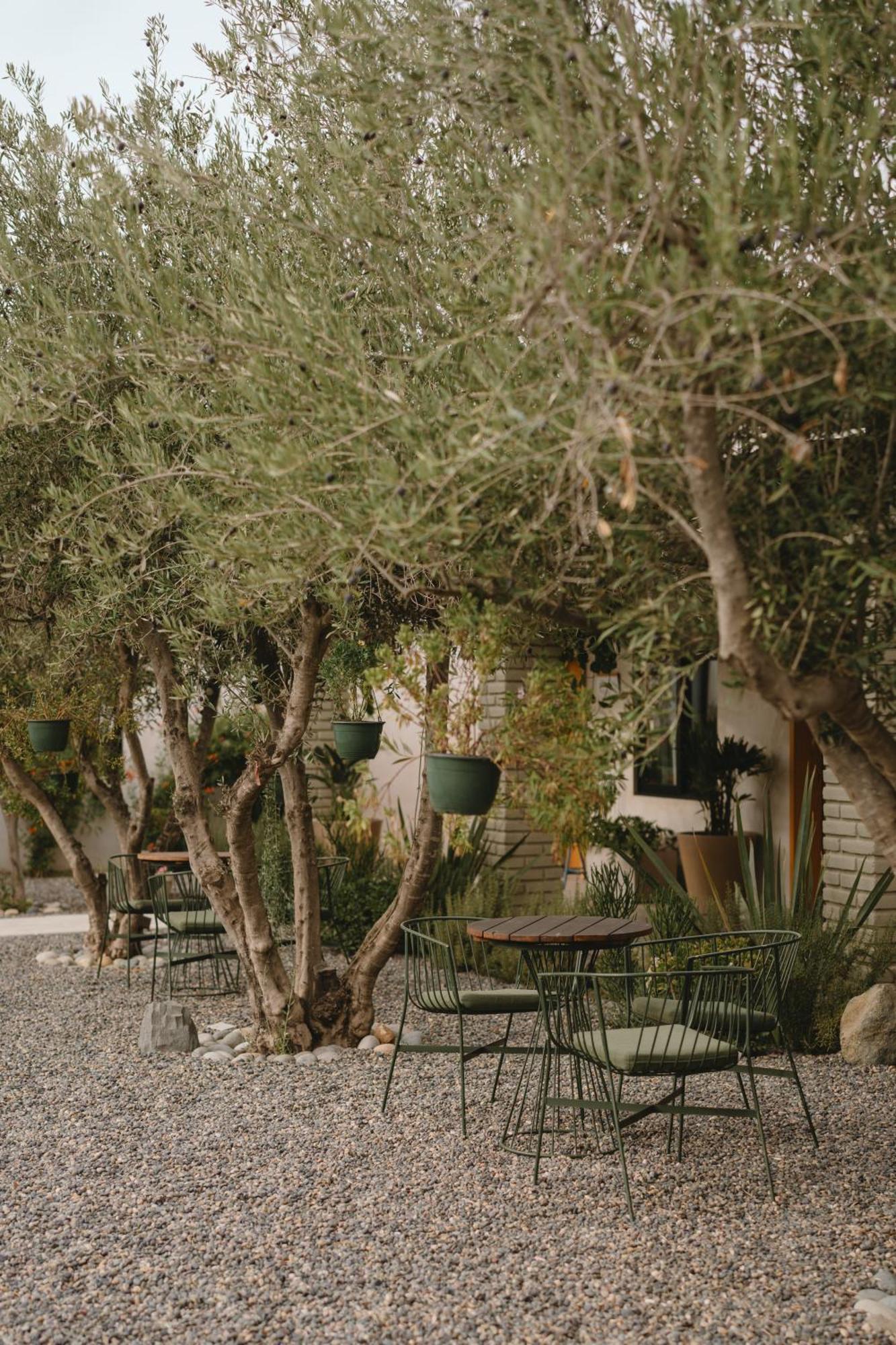Mya Hotel Valle de Guadalupe Exteriör bild