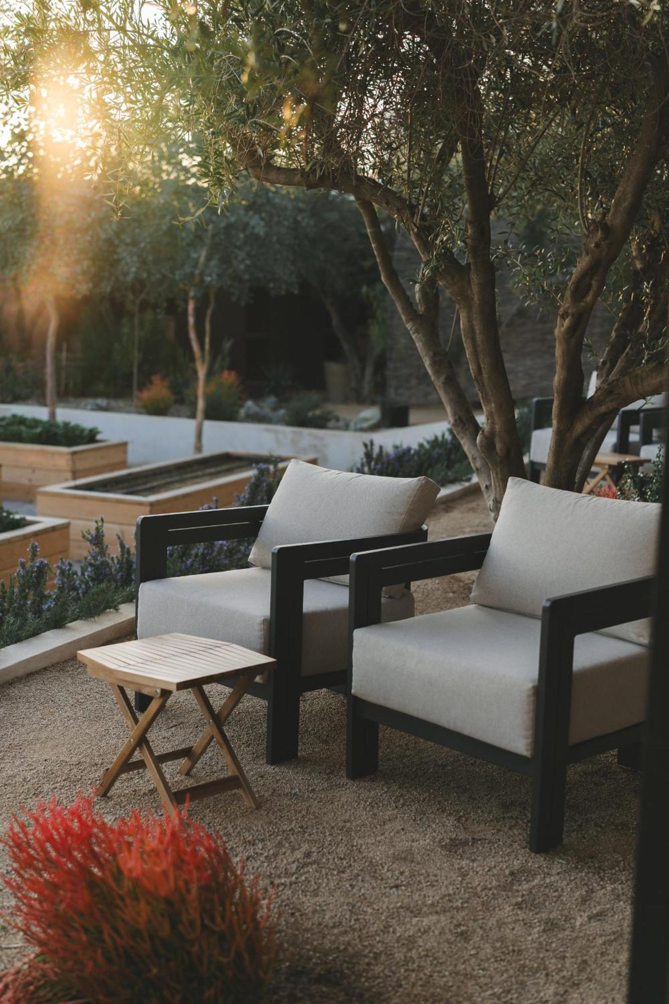 Mya Hotel Valle de Guadalupe Exteriör bild
